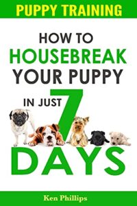 Puppy Training: How to Housebreak 1517450047