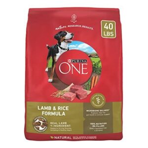 Purina ONE Dry Dog Food B01G8JLE0Q