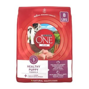 Purina ONE Plus Healthy Puppy B000634CK0