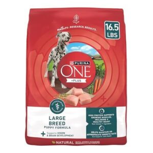 Purina ONE Plus Large Breed B008RKA6KY
