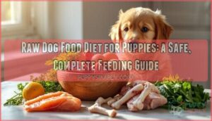 raw dog food diet for puppies raw dog food diet for puppies
