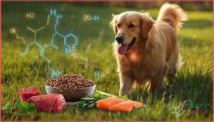 role of taurine and carnitine role of taurine and carnitine