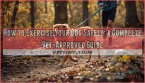safe dog exercise
