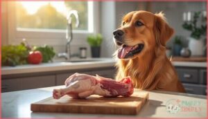 safety and precautions safety and precautions