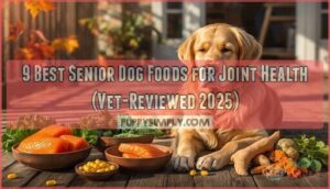 senior dog food for joint health senior dog food for joint health