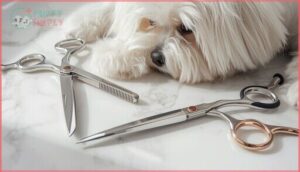 shears and scissors shears and scissors