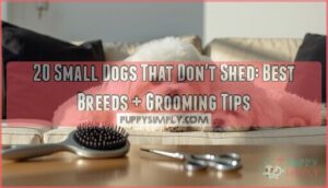 small dogs that dont shed