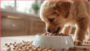 small kibble size and digestibility small kibble size and digestibility