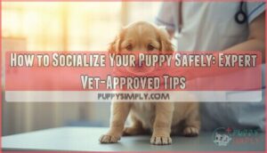 socializing young puppies safely