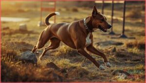 supporting muscle gain through diet and exercise supporting muscle gain through diet and exercise