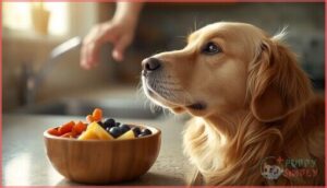 tips for safely feeding dogs treats