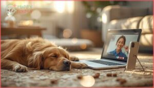 top online dog training courses for anxiety top online dog training courses for anxiety