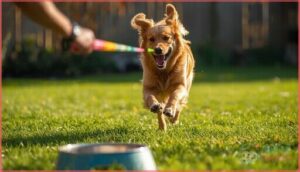 using tools like the loobani flirt pole using tools like the loobani flirt pole