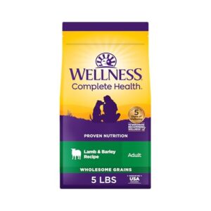 Wellness Complete Health Dry Dog B01ADDG5UM