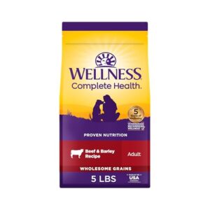 Wellness Complete Health Dry Dog B0CMVZ8W99