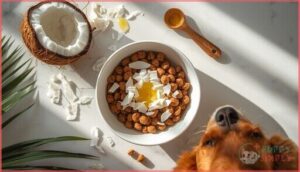 adding coconut to regular dog food adding coconut to regular dog food