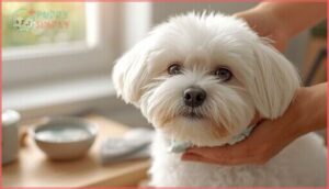 additional tips for managing tear stains additional tips for managing tear stains