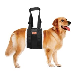 Adjustable Dog Lift Harness Dog B07KXGWRYP