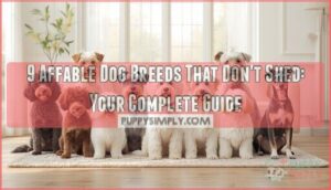 affable dog breeds that dont shed