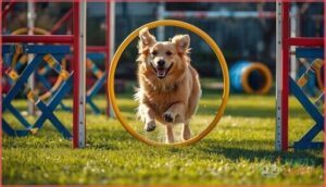 agility and training equipment agility and training equipment