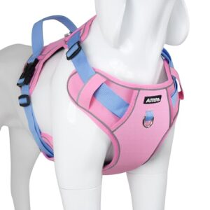 AIITLE Durable Waterproof Dog Vest B0BRMZV7VW