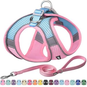 AIITLE Small Harness for Puppy B09VBZQDML