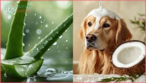 aloe vera and coconut oil aloe vera and coconut oil