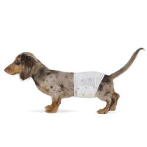 Amazon Basics Male Dog Diapers, B071HPBSHV