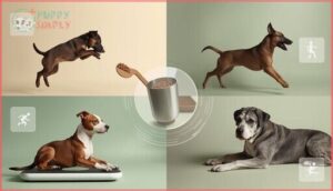 applying activity and life stage adjustments applying activity and life stage adjustments