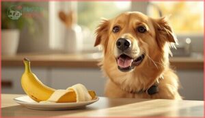 are bananas safe for dogs without the peel are bananas safe for dogs without the peel