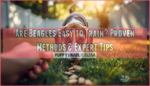 are beagles easy to train are beagles easy to train