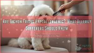 are bichon frises hypoallergenic are bichon frises hypoallergenic