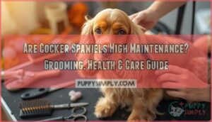 are cocker spaniels high maintenance are cocker spaniels high maintenance