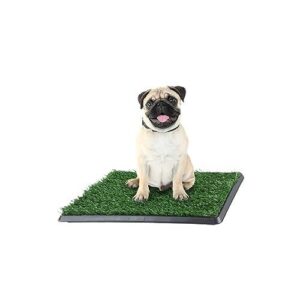 Artificial Grass Puppy Pee Pad B00IX0FMCA