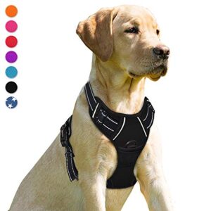 BARKBAY No Pull Dog Harness B07FQ5TC4J