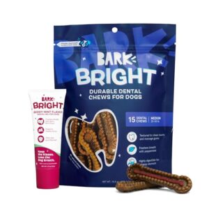 Barkbox Bright Durable Dental Kit, B0DHLY5BVF