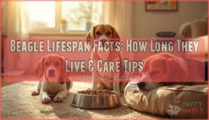 beagle lifespan facts beagle lifespan facts