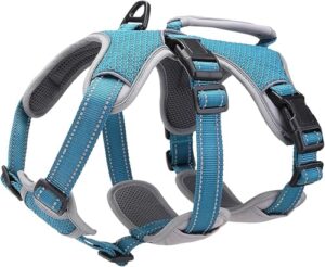 BELPRO Multi Use Support Dog Harness, B08QRWFX4Z