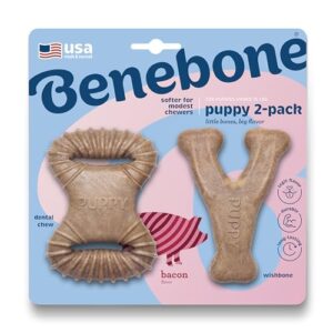 Benebone Puppy 2 Pack Dental Chew/Wishbone B07R4PXC7B