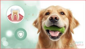 benefits of dental chews for dogs benefits of dental chews for dogs