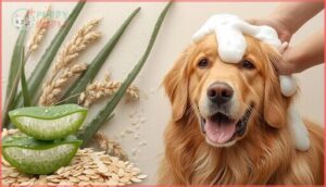 benefits of oatmeal and aloe vera benefits of oatmeal and aloe vera