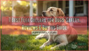 best flea collar for dogs best flea collar for dogs