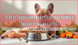 best food for french bulldog puppy best food for french bulldog puppy