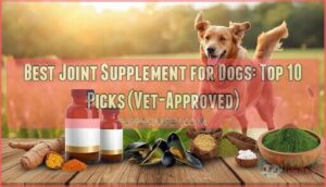best joint supplement for dogs best joint supplement for dogs