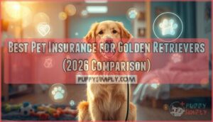 best pet insurance for golden retriever best pet insurance for golden retriever