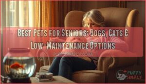 best pets for seniors best pets for seniors