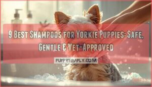 best shampoo for yorkie puppies best shampoo for yorkie puppies