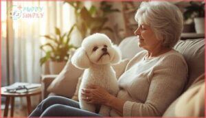 bichon frise bichon frise