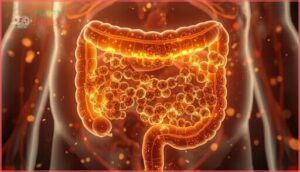bioavailability and absorption bioavailability and absorption