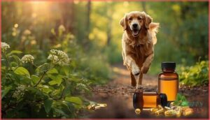 boswellia serrata extract boswellia serrata extract